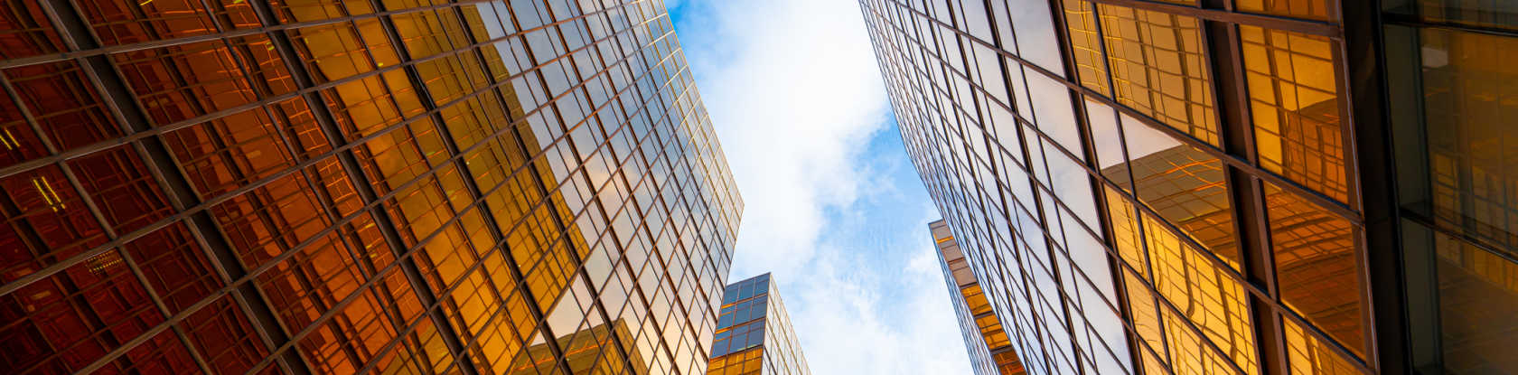 Centric Consulting Public Sector Digital Transformation